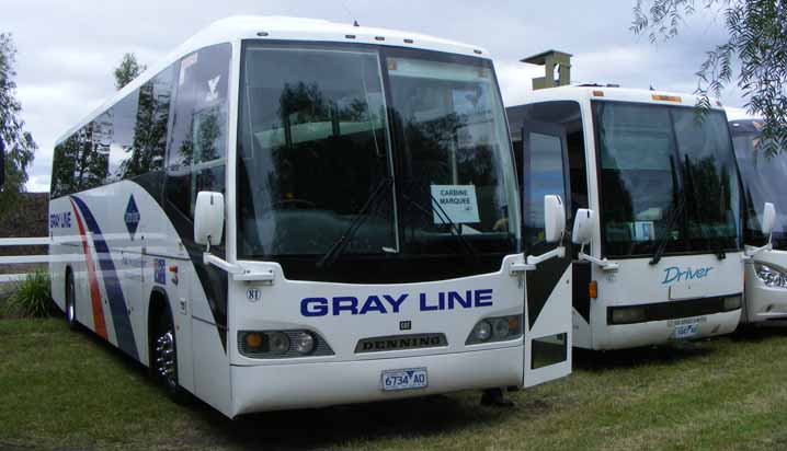 Driver Gray Line Denning Silver Phoenix 81